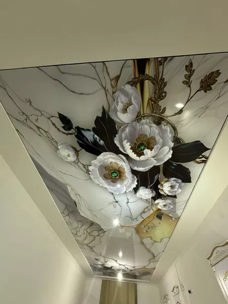 Natyajnoy Potolok  - Изображение #5, Объявление #1753532